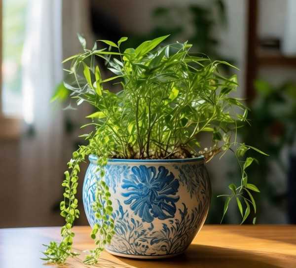 绿意盎然家居，随时鲜花盆景点缀生活之美,随时鲜花盆景，让家居生活焕发绿色生机,养护,养护技巧,第1张