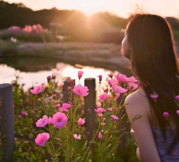 花之歌，揭秘温暖心灵旋律背后的感人故事,花之歌，探寻那首温暖心灵的旋律背后的故事,寓意,第1张