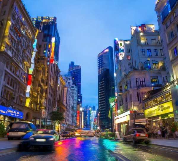 沈鲜花盆景，点缀都市，打造绿色风景线新篇章