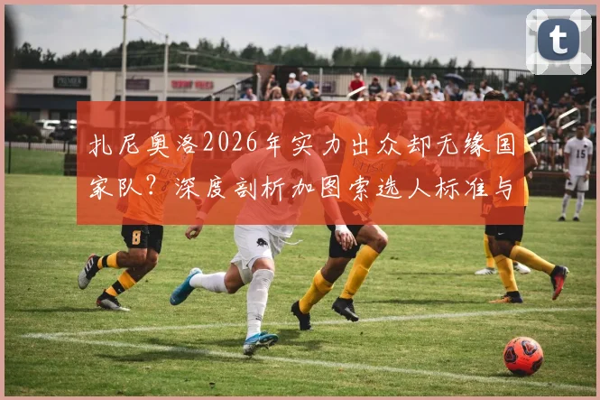 扎尼奥洛2026年实力出众却无缘国家队?深度剖析加图索选人标准与意大利中场之争